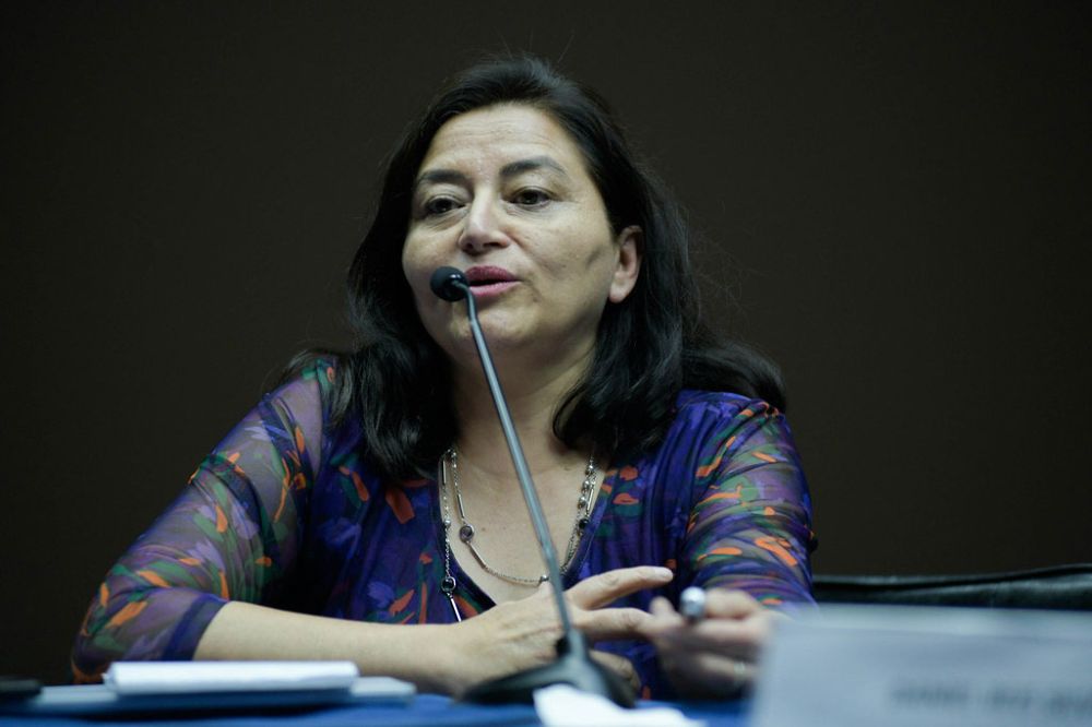 La directora de Comunicaciones de la Vicerrectoría de Extensión y Comunicaciones, Mariela Ravanal durante uno de los encuentros en los que participo.